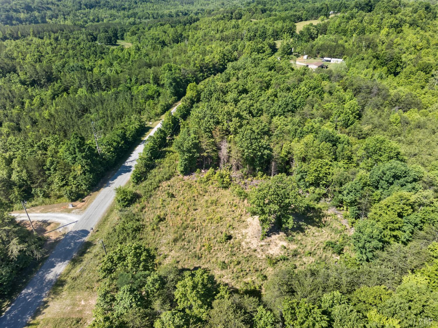 0 Mohawk Road Long Island, VA 24554 - Photo 8 of 23