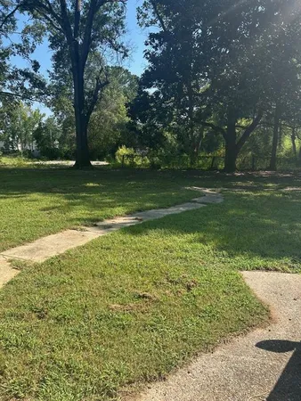 a view of a trees with a yard