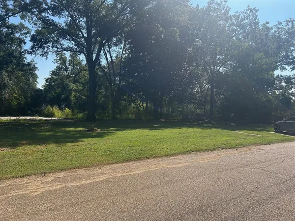 a view of a yard
