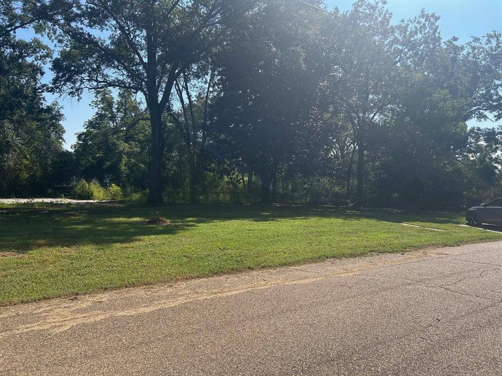 1011 Lee Street Minden, LA 71055 - Photo 4 of 10 a view of a yard