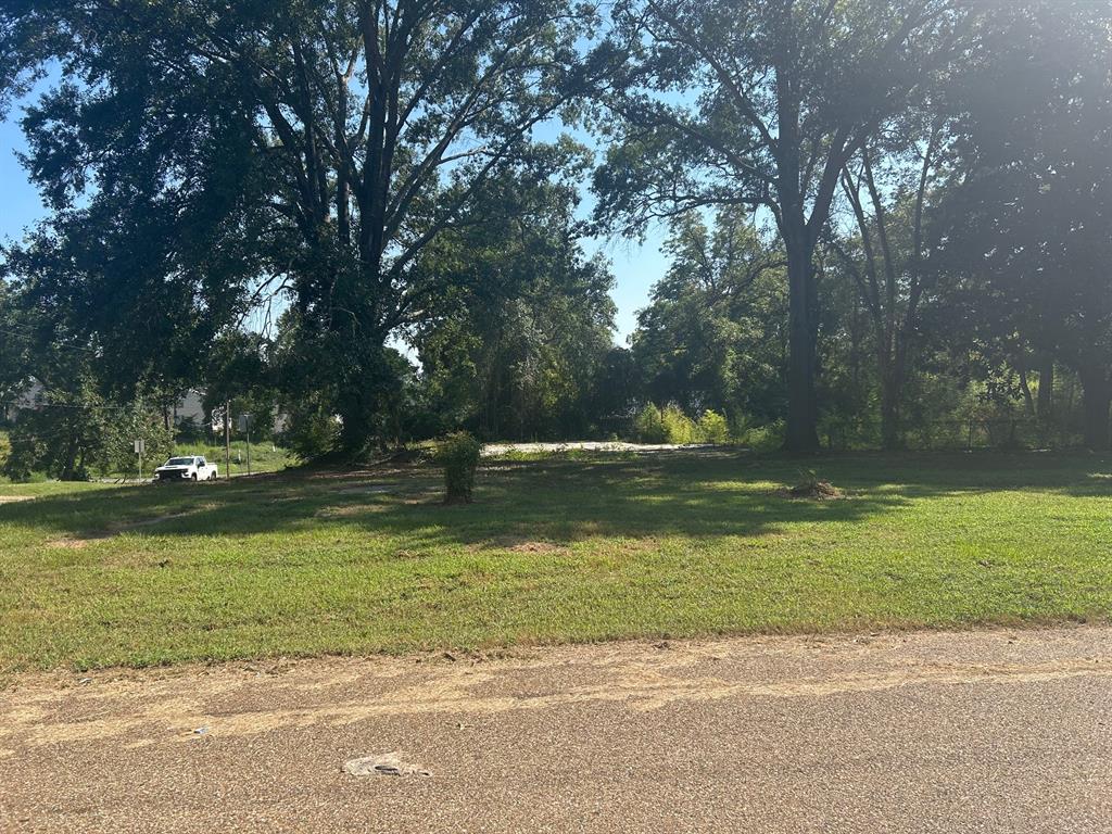 1011 Lee Street Minden, LA 71055 - Photo 5 of 10 a view of a lake view