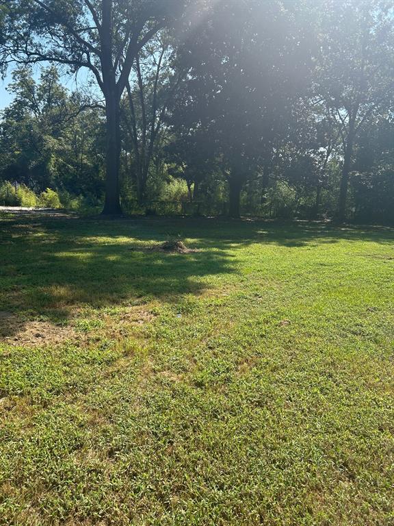1011 Lee Street Minden, LA 71055 - Photo 6 of 10 a view of outdoor space and yard