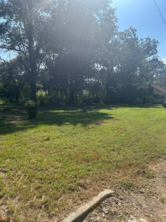 1011 Lee Street Minden, LA 71055 - Photo 9 of 10 a view of a lake