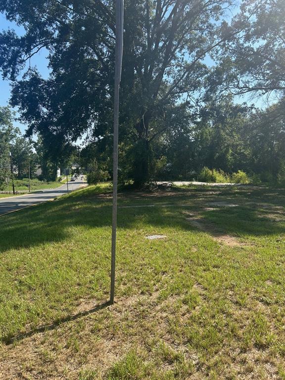 1011 Lee Street Minden, LA 71055 - Photo 10 of 10 a view of a water fountain and a big yard