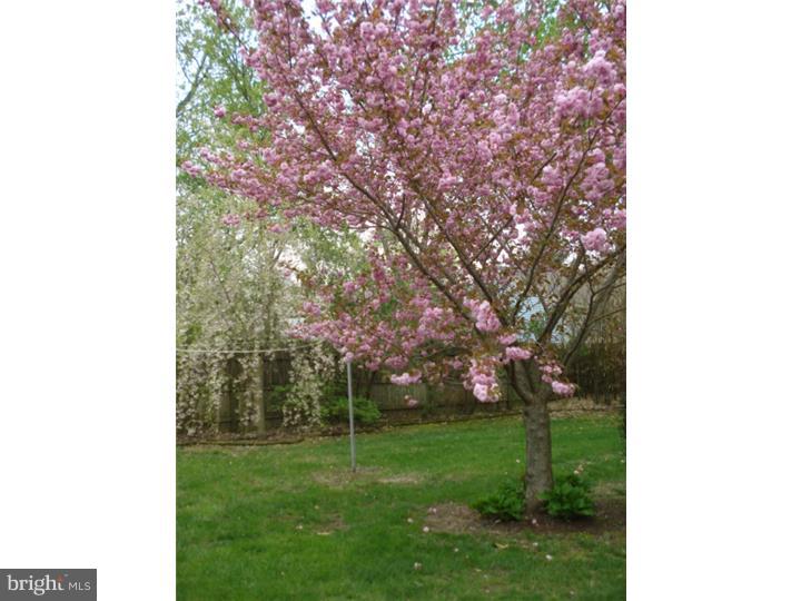 548 Fish Pond Road Glassboro, NJ 08028 - Photo 6 of 25