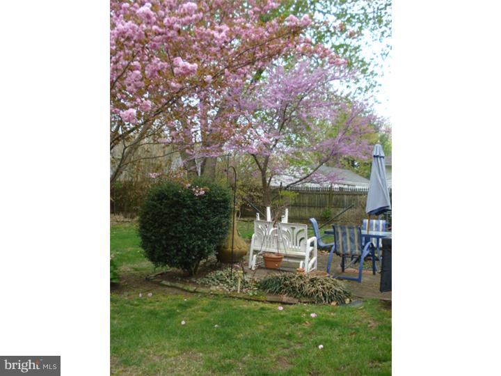 548 Fish Pond Road Glassboro, NJ 08028 - Photo 7 of 25