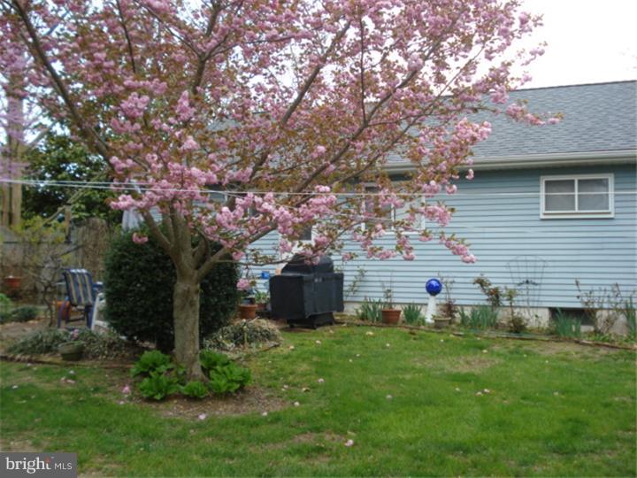 548 Fish Pond Road Glassboro, NJ 08028 - Photo 9 of 25