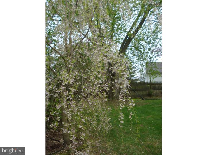 548 Fish Pond Road Glassboro, NJ 08028 - Photo 10 of 25
