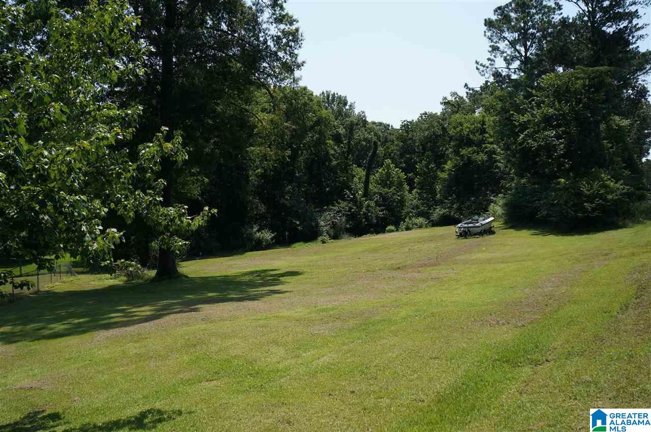203 Bon Air Road Childersburg, AL 35044 - Photo 5 of 45