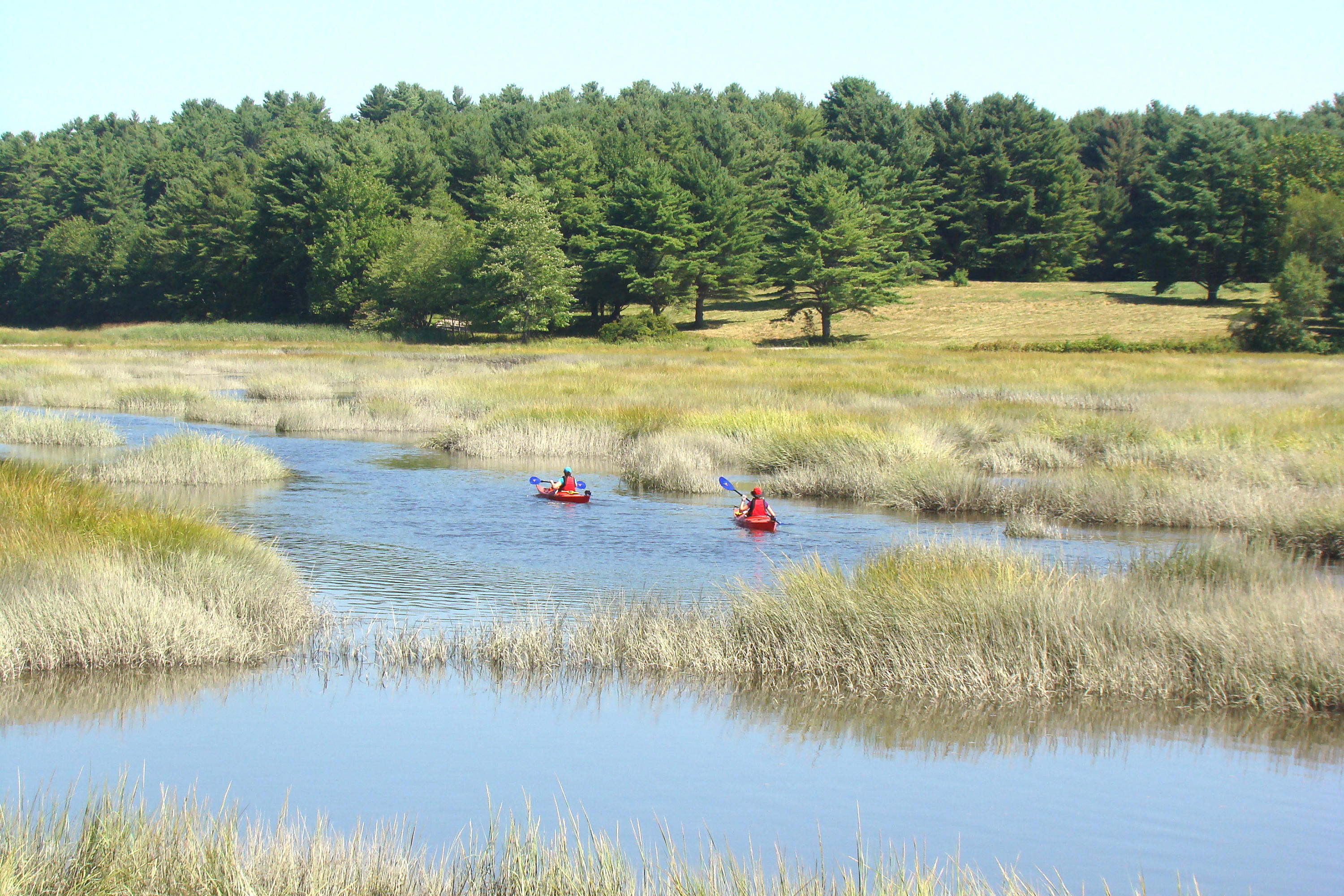 344 Old Stage Road Bath, ME 04530 - Photo 45 of 50 MARSH and KAYAKERS