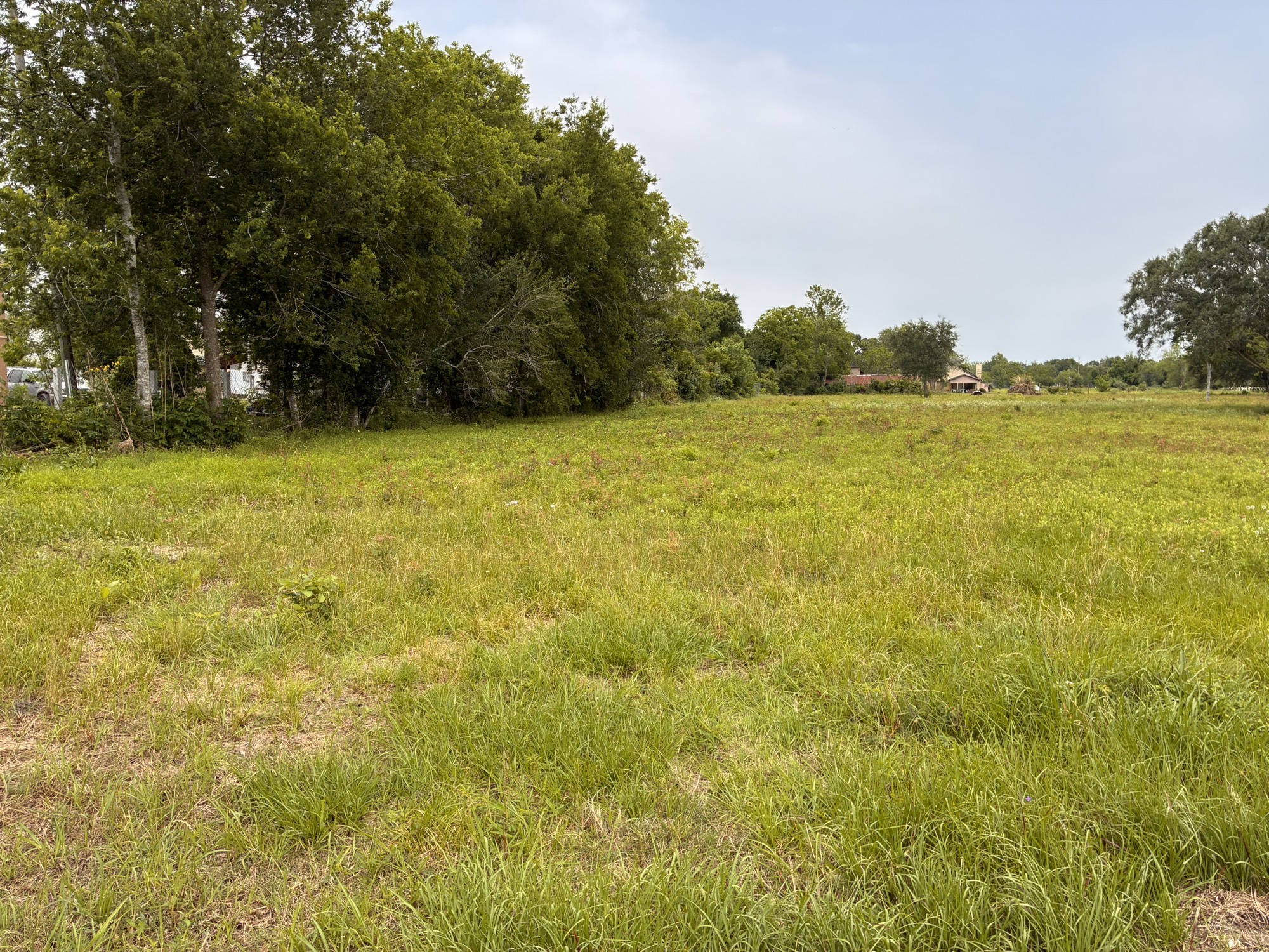 2933 Indiana Street Fresno, TX 77545 - Photo 3 of 9