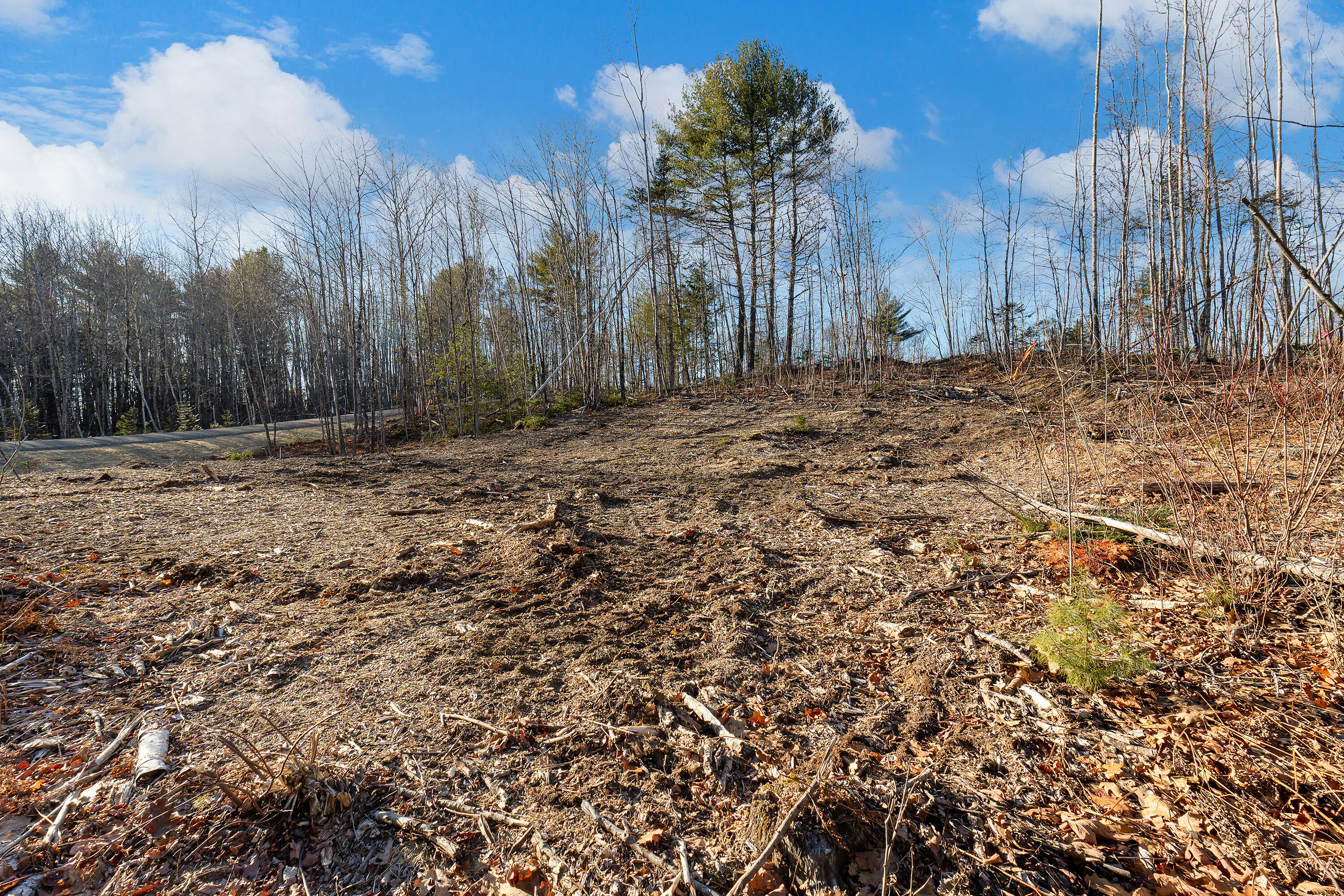 Lot 8 Pine Hill Road Monmouth, ME 04259 - Photo 6 of 15 0133 - Lot 08