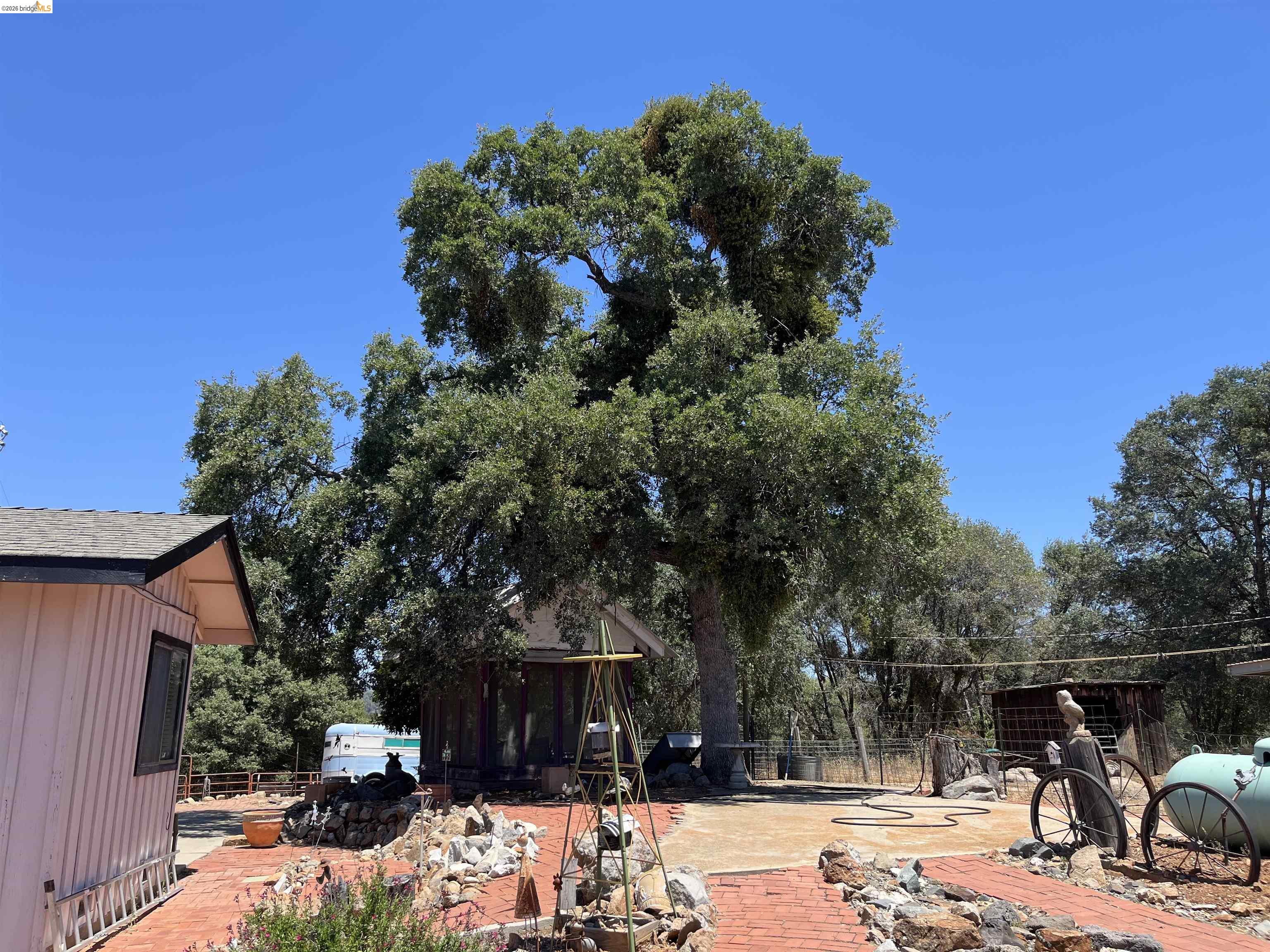 18195 Wards Ferry Road Sonora, CA 95370 - Photo 28 of 67 Mature trees providing natural shade