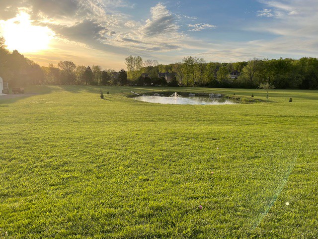 3207 Yeargan Road Murfreesboro, TN 37128 - Photo 88 of 97 Gallery Image 88