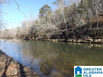 0 Pea Ridge Circle, Unit 424 Union Grove, AL 35175 - Photo 36 of 49