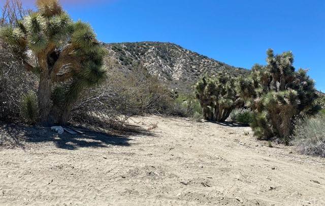 0 Pheasant Road Wrightwood, CA 92397 - Photo 1 of 1 Gallery Image 1