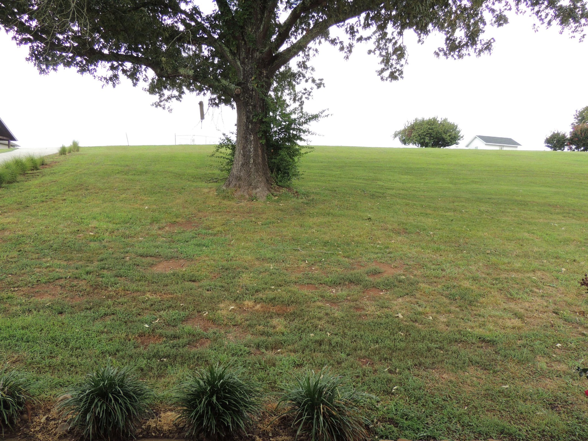 3776 Freels Road Friendsville, TN 37737 - Photo 5 of 28 Gallery Image 5