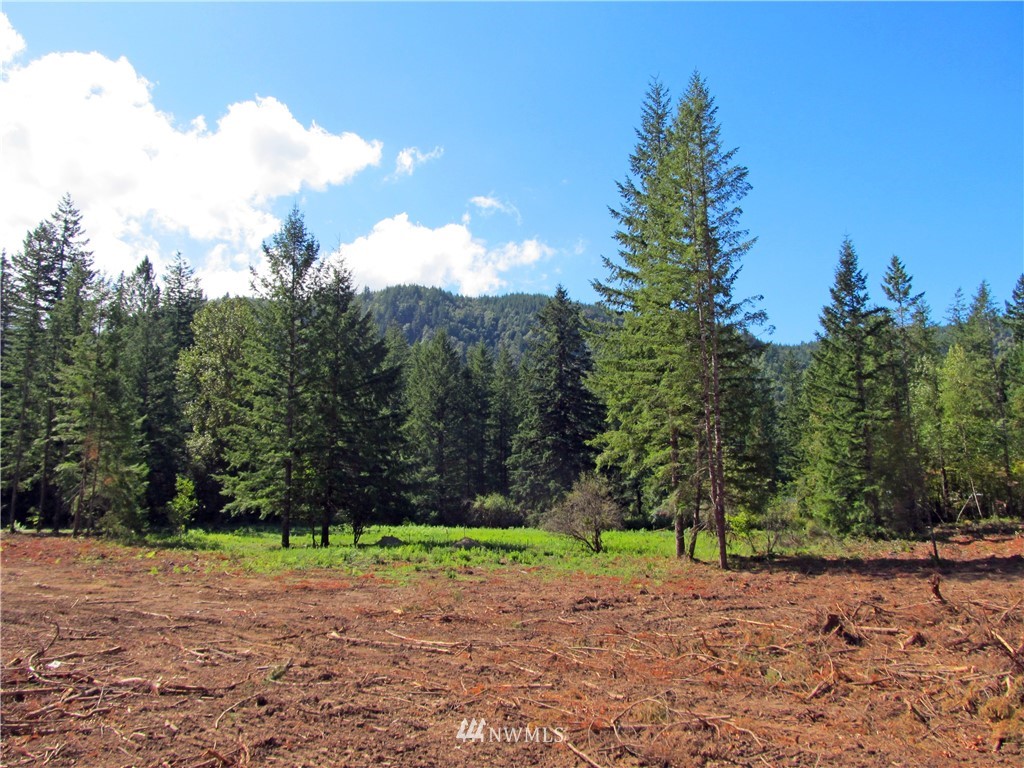 1 Limestone Road Maple Falls, WA 98266 - Photo 1 of 9