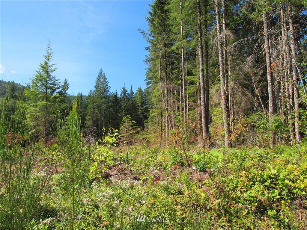 1 Limestone Road Maple Falls, WA 98266 - Photo 3 of 9
