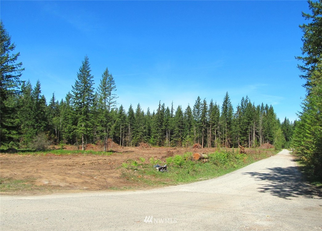 1 Limestone Road Maple Falls, WA 98266 - Photo 4 of 9