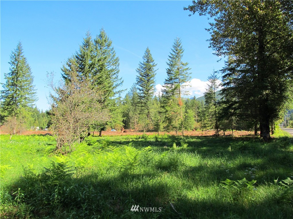 1 Limestone Road Maple Falls, WA 98266 - Photo 5 of 9