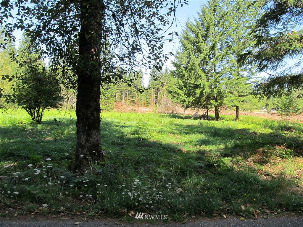 1 Limestone Road Maple Falls, WA 98266 - Photo 6 of 9