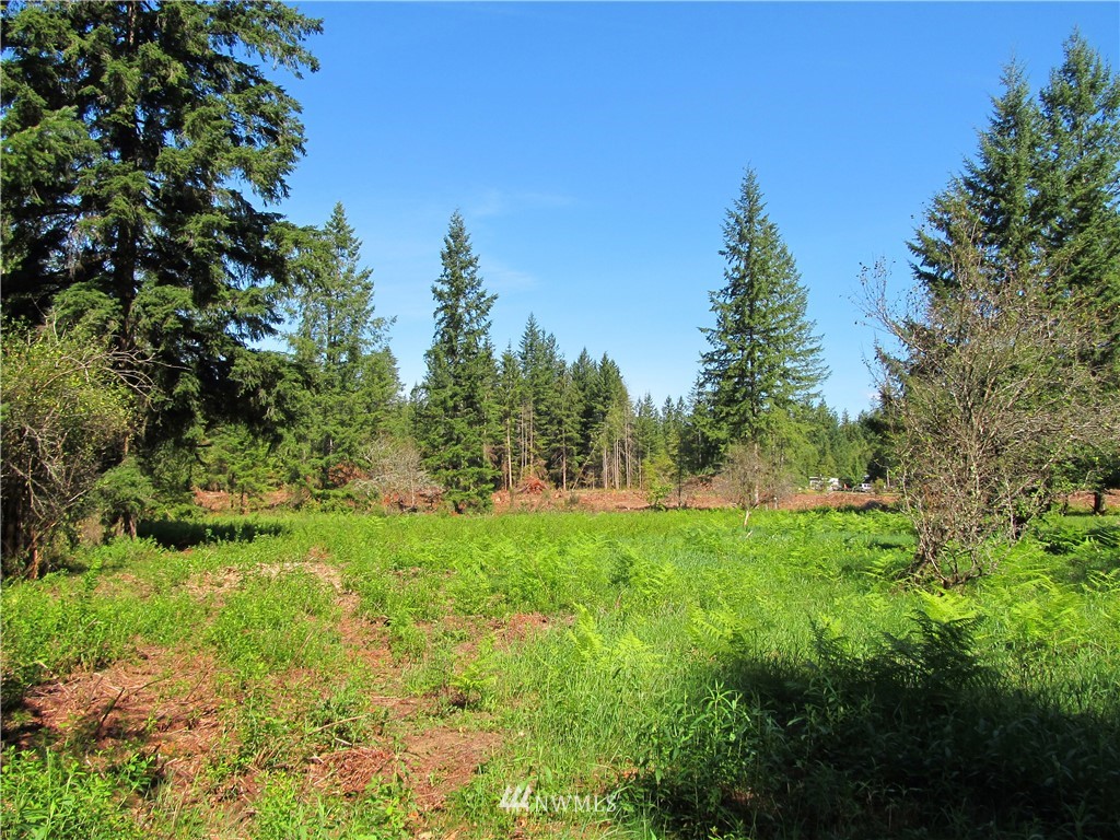 1 Limestone Road Maple Falls, WA 98266 - Photo 7 of 9