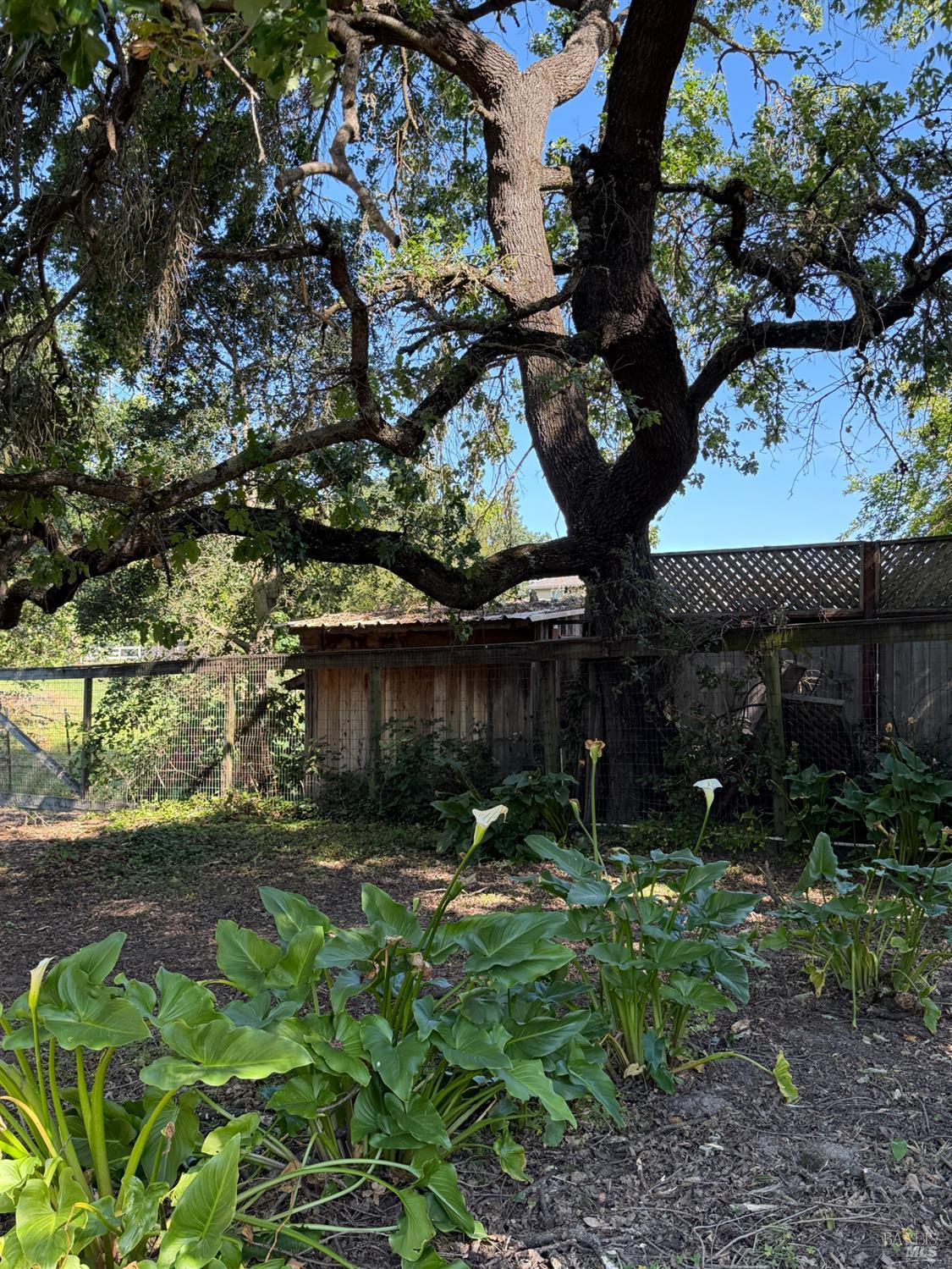 1927 Marsh Road Santa Rosa, CA 95403 - Photo 22 of 29 a backyard of a house with lots of green space
