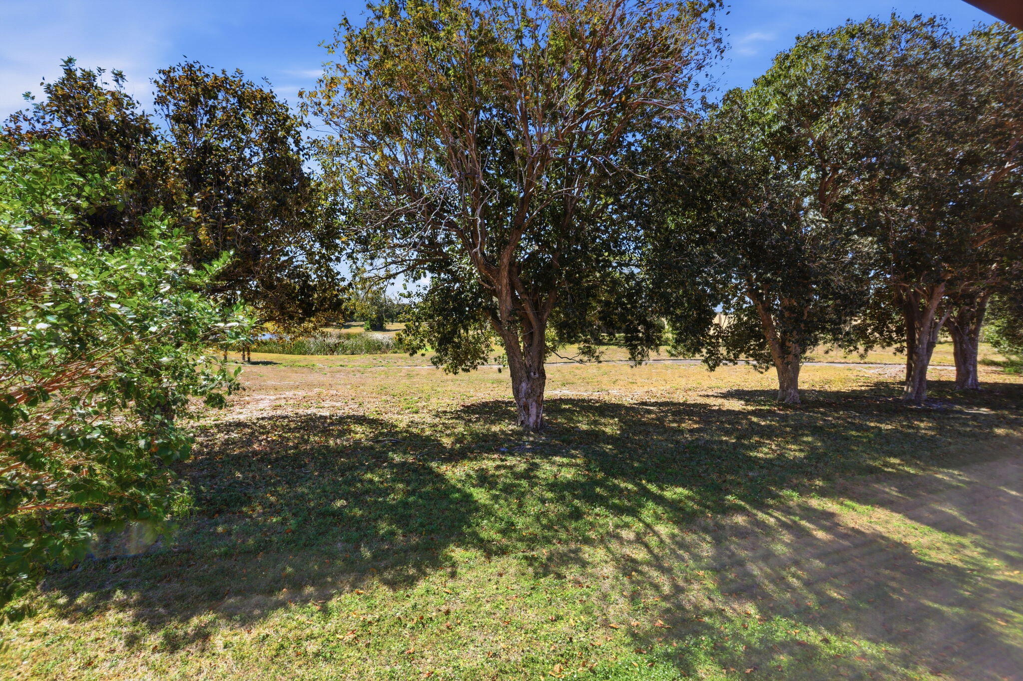440 Northwest 67th Street, Unit 201 Boca Raton, FL 33487 - Photo 23 of 40 Nature filled views