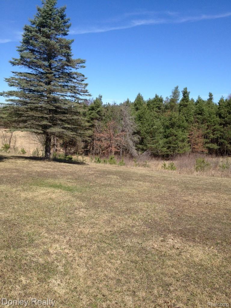 5333 Snover Road Clifford, MI 48727 - Photo 13 of 44 IMG_0135.jpg