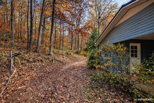 a view of a yard with an trees