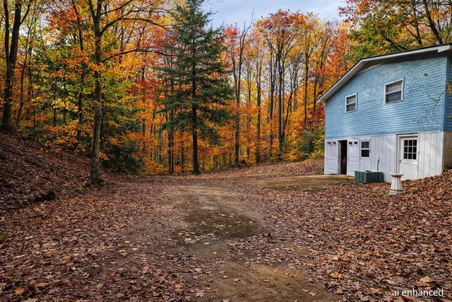a view of dirt yard with a tree