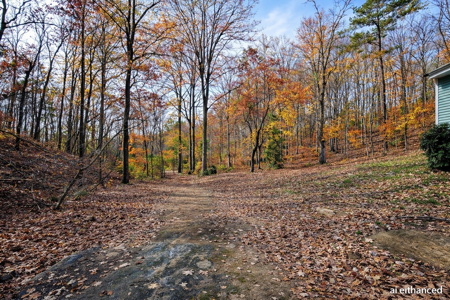 1135 West Mink Branch Road Waynesboro, TN 38485 - Photo 16 of 68 a view of a yard with trees