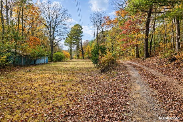 a view of outdoor space with garden