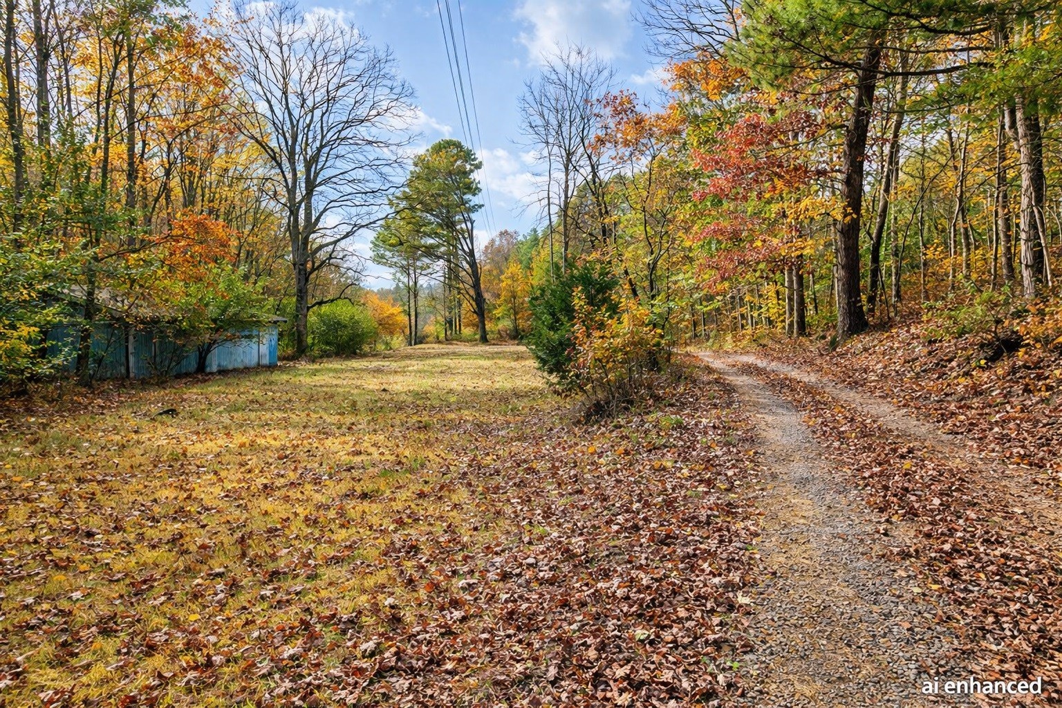1135 West Mink Branch Road Waynesboro, TN 38485 - Photo 18 of 68 a view of a yard with an trees