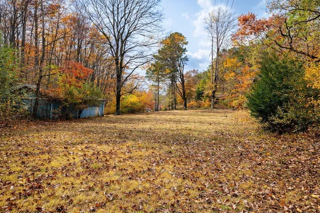 a backyard of a house with lots of green space