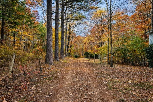 a view of open space with trees