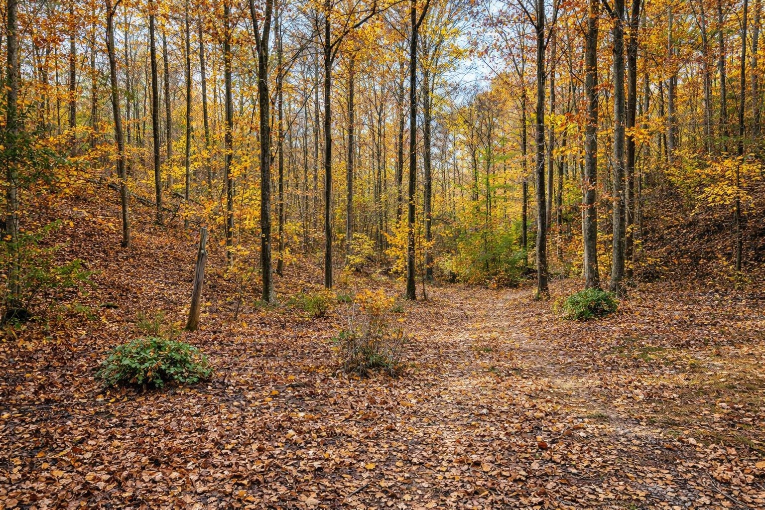 1135 West Mink Branch Road Waynesboro, TN 38485 - Photo 28 of 68