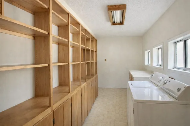 a view of dirt yard with a large tree