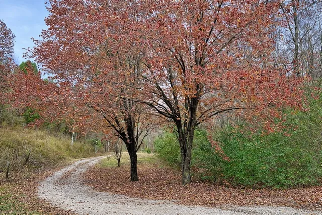 $340,000 | 1135 West Mink Branch Road, Waynesboro, TN 38485