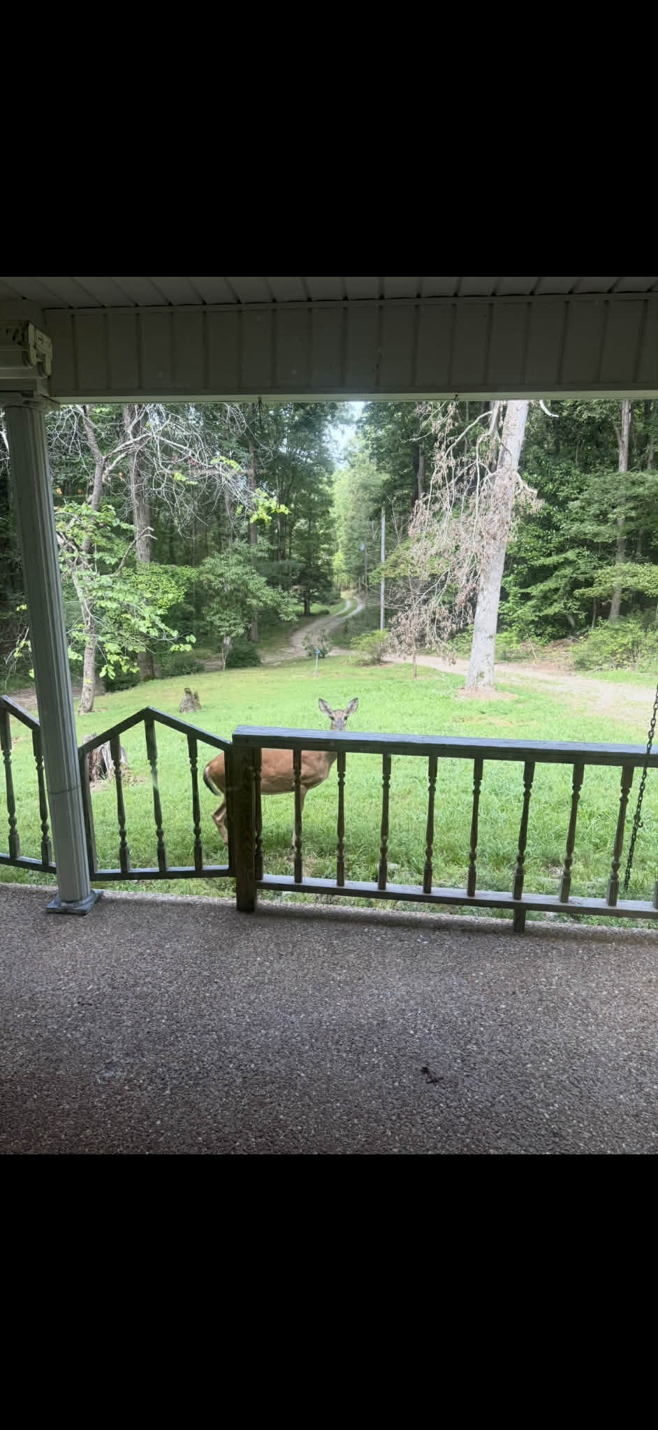 1135 West Mink Branch Road Waynesboro, TN 38485 - Photo 66 of 68