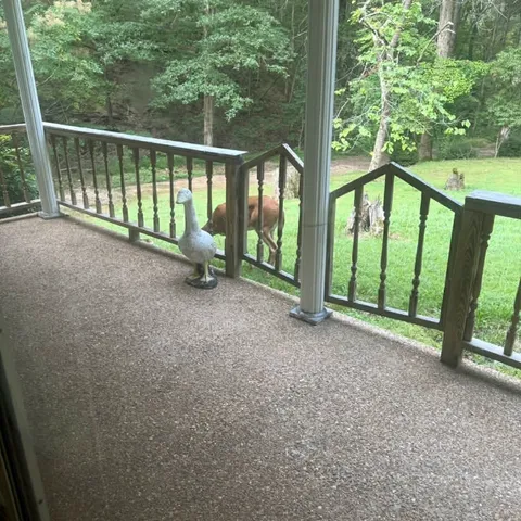 $340,000 | 1135 West Mink Branch Road, Waynesboro, TN 38485