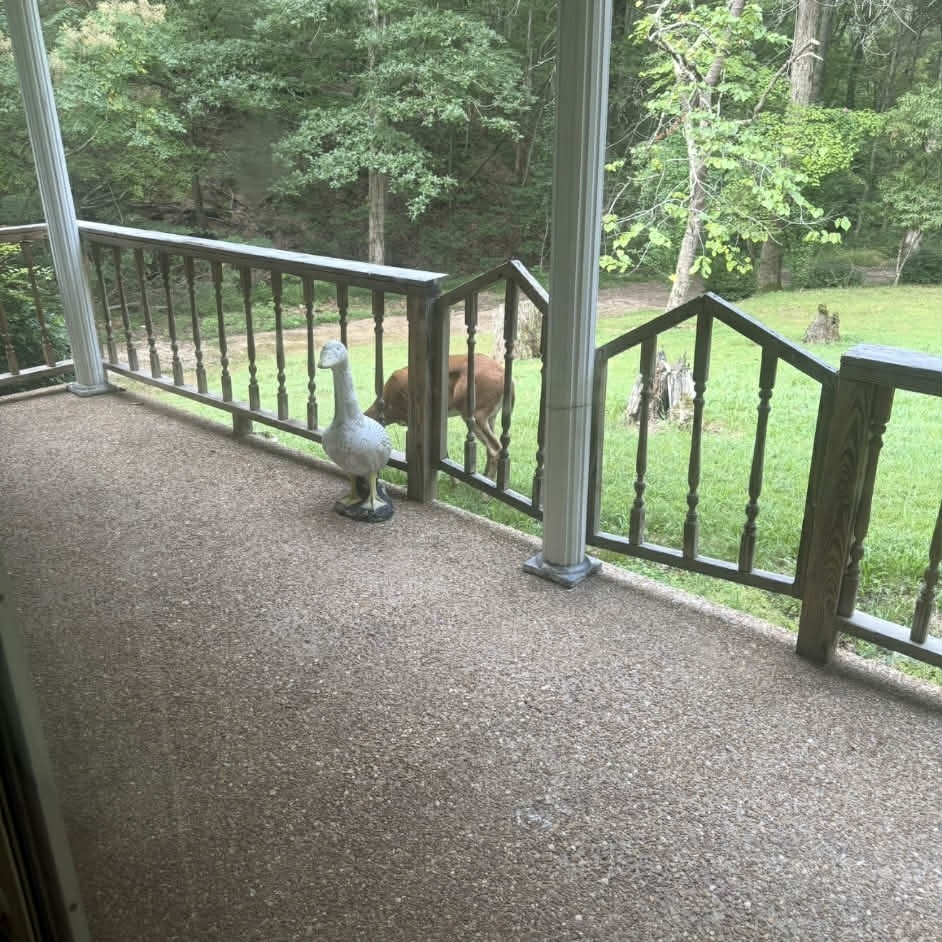 1135 West Mink Branch Road Waynesboro, TN 38485 - Photo 67 of 68 a view of a porch with a yard