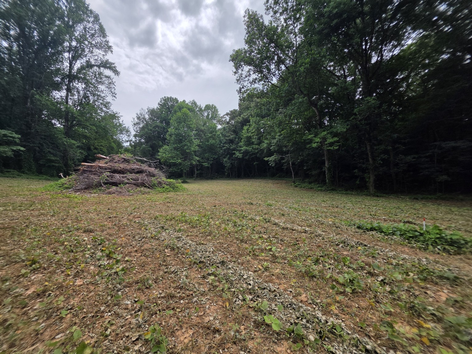13 Shellsford Road McMinnville, TN 37110 - Photo 1 of 10