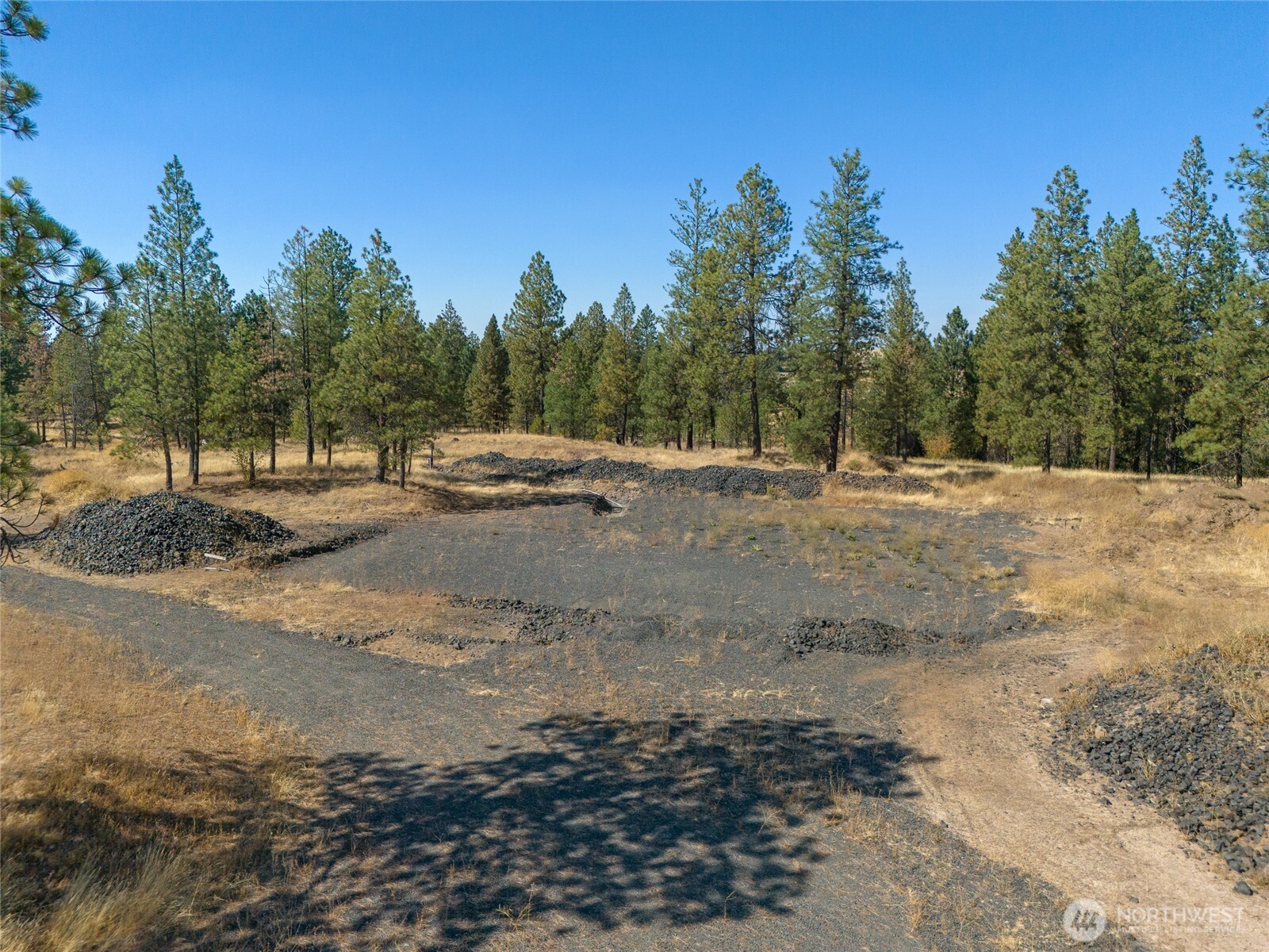 36321 South Bootstrap Lane Cheney, WA 99004 - Photo 11 of 15