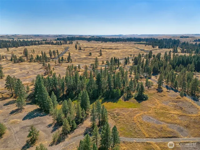 $795,000 | 36321 South Bootstrap Lane, Cheney, WA 99004