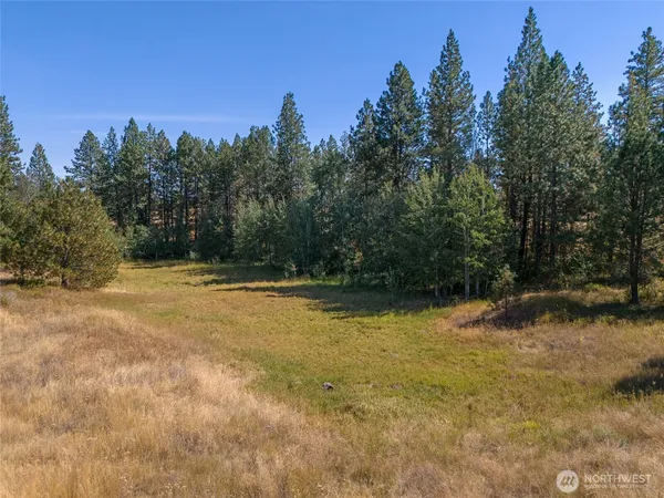 a view of dirt field with trees in the background