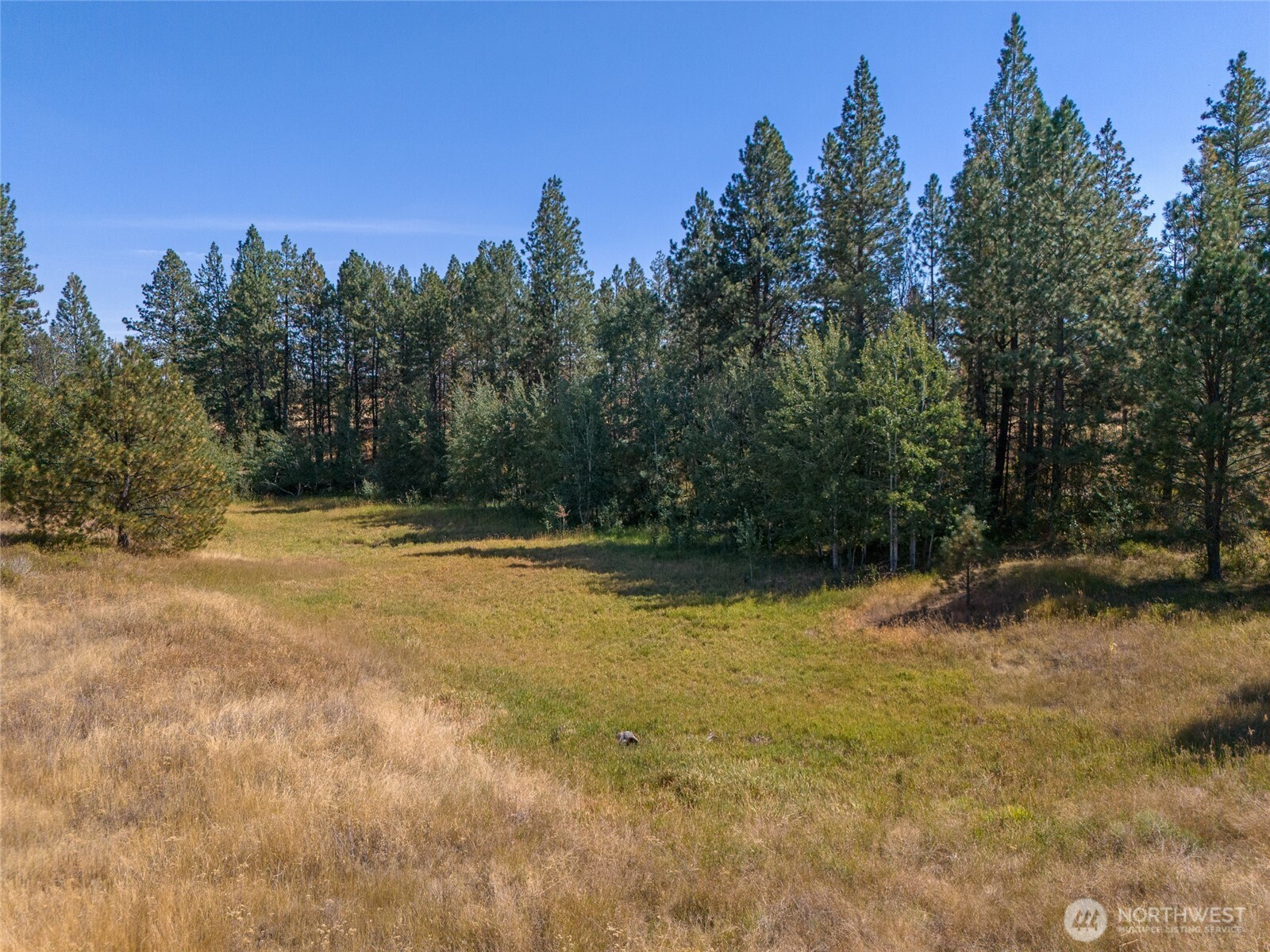 36321 South Bootstrap Lane Cheney, WA 99004 - Photo 8 of 15