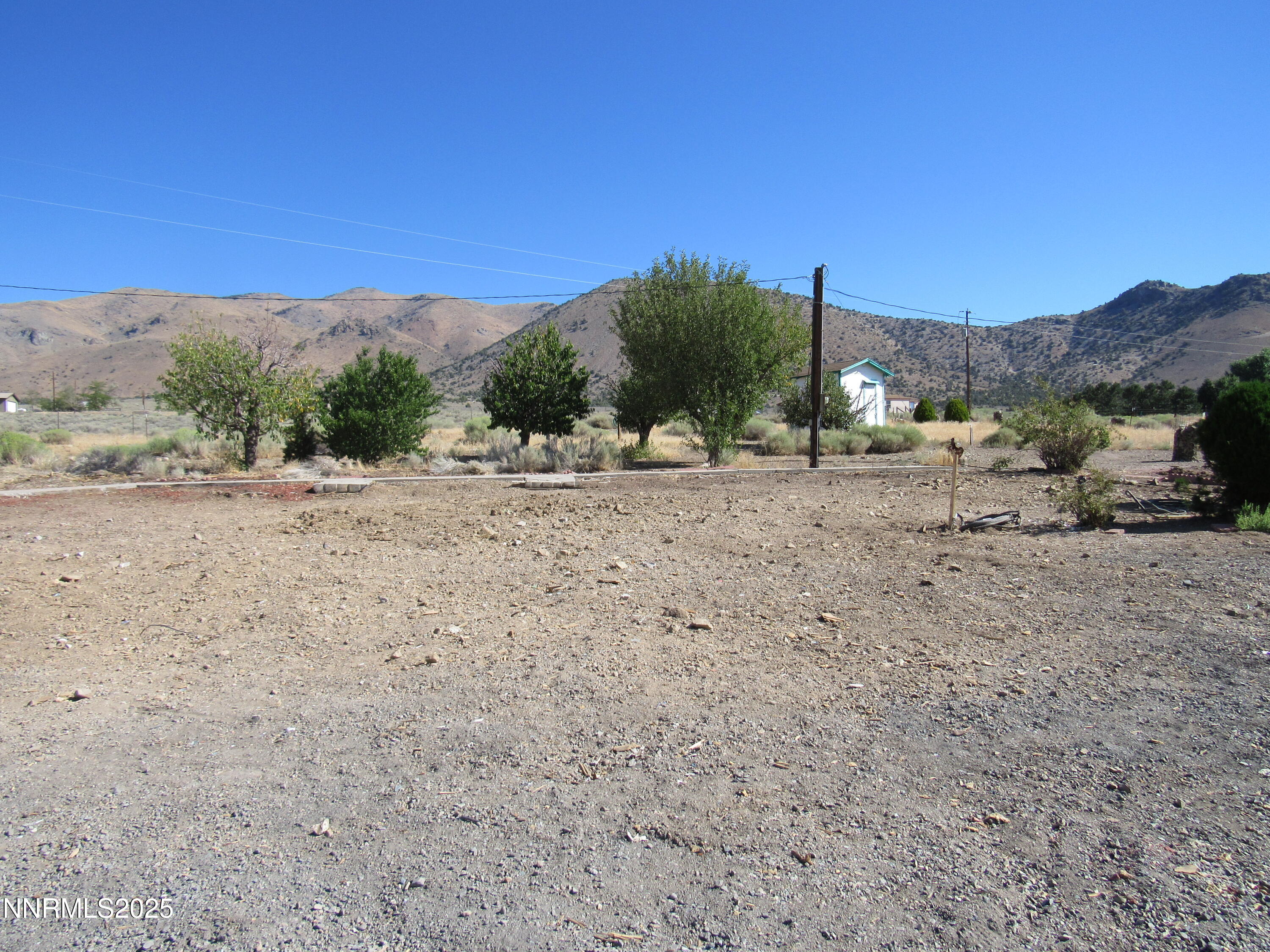 4151 Gray Hills Road Wellington, NV 89444 - Photo 11 of 25 a view of a dry yard with trees