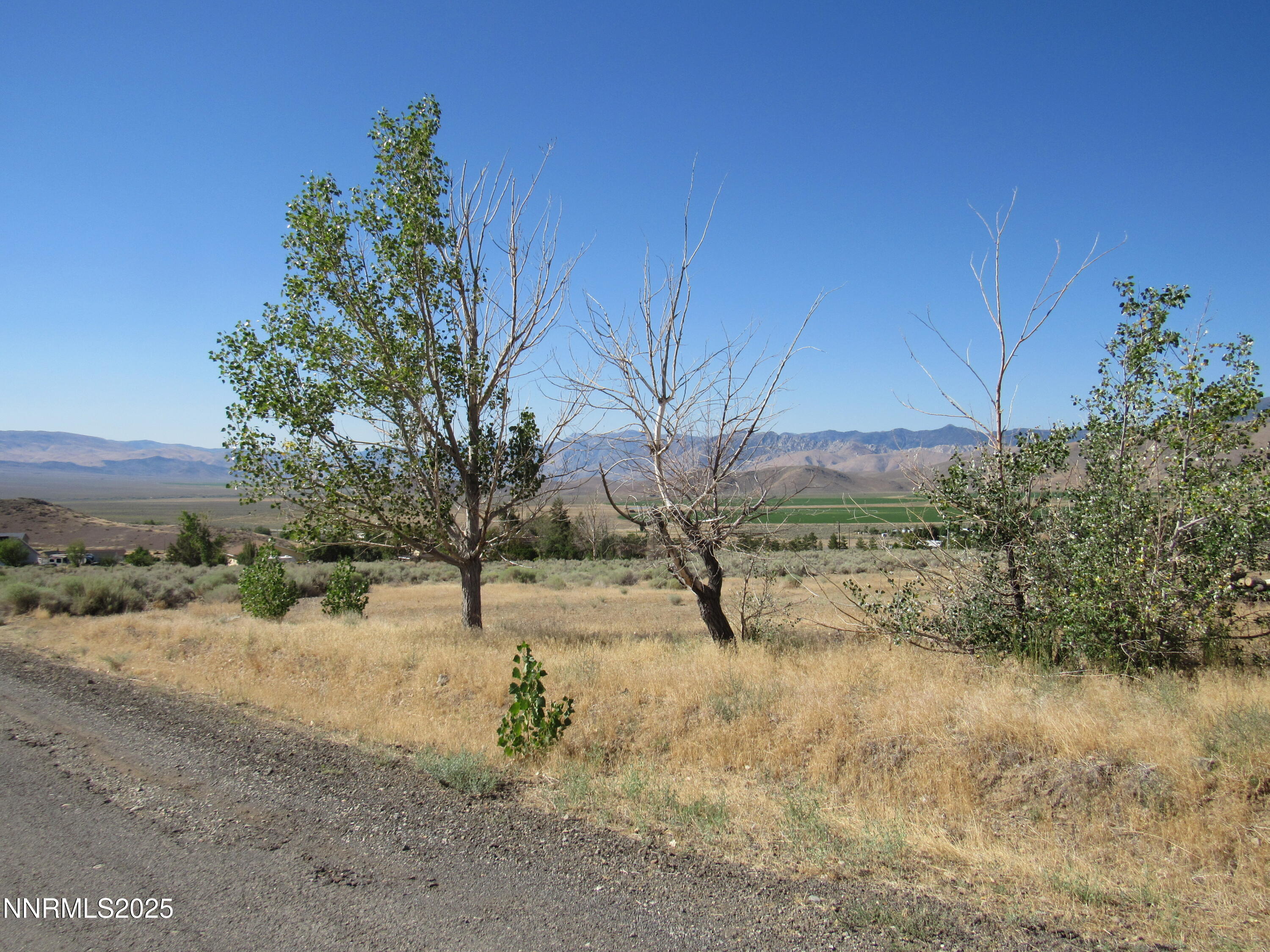 4151 Gray Hills Road Wellington, NV 89444 - Photo 23 of 25 a view of dirt yard with a tree